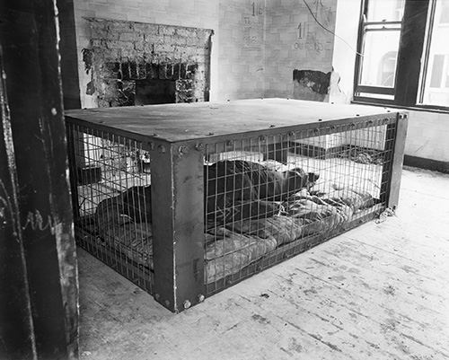 Morrison Shelter Series