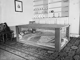 Morrison Shelter
