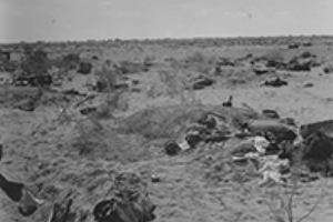 Enemy Casualties and Kit
