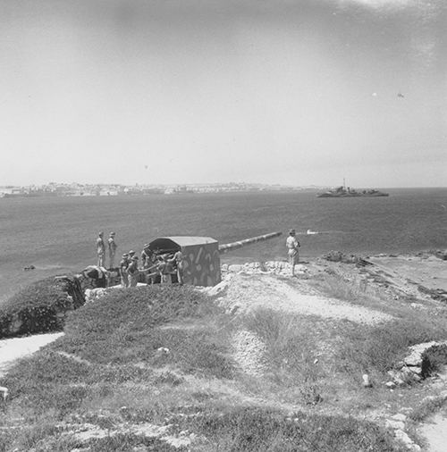 Captured Italian coastal guns