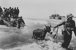 US troops come ashore
