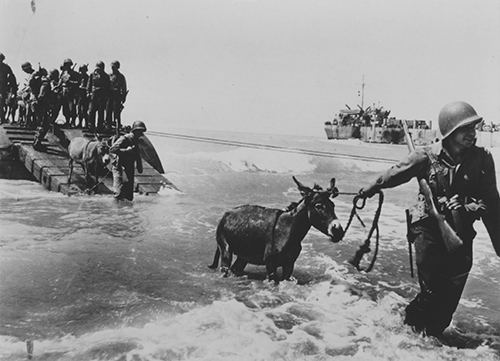 US troops come ashore