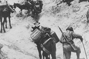 French mule train in Monte Cassino