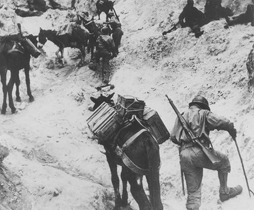 French mule train in Monte Cassino