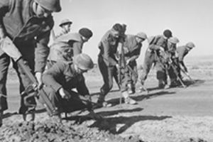 8th Field Squadron RE