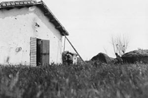 Browse Special Service Force Patrol