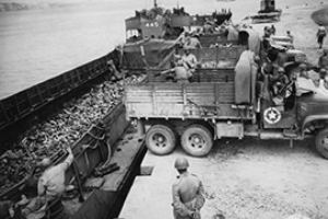 Browse Brass salvage casings