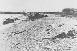 Carnage on the Beach