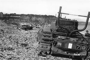 Carnage on the Beach