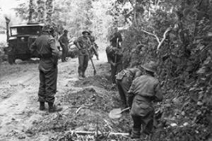 Browse British troops digging slit trenches