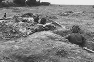 Browse Canadian infantry in slit trenches