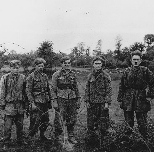Prisoners from 12th SS Panzer Division