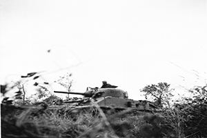 Sherman of the Fort Garry Horse