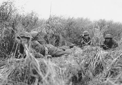 Royal Engineers move cautiously through a cornfield
