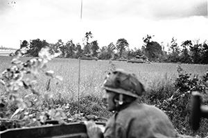 Sherman tanks in battle order