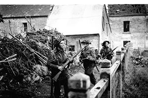 Browse 6th Royal Scot Fusiliers