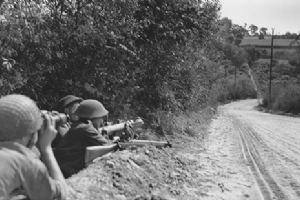 The 43rd Infantry Division