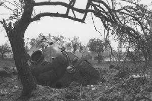 Sherman immobilised