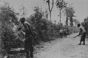 Browse US Infantrymen move warily along a road