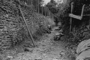 Browse Infantry patrol hugs the hedge row