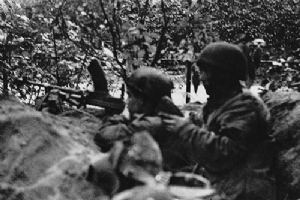 A Bren gun in positions in a wood.