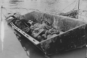 American dead from the 84th Division