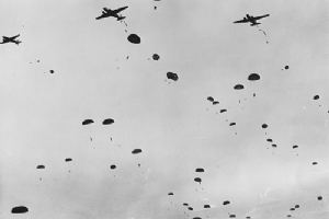 Browse Dakota mass drop