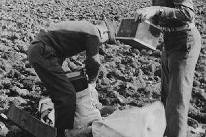 Soldiers on the Ground