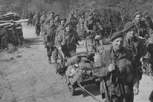 Browse Mortar Platoon 9 Para