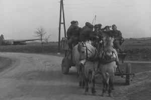 Browse 6th Airborne with prisoners