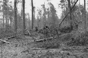 5/7th Gordons combing the forest