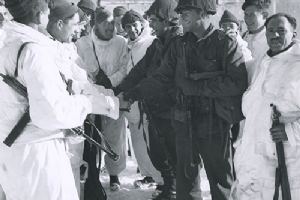 Link up of Allied Armies