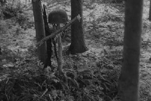 Grave marked with a cross made of branches