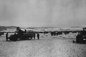 Half tracks of the 11th Armoured Division