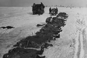 Browse Men of the 3042nd Graves Registration Company