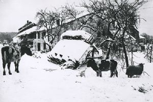A disabled Panther of 2 SS Panzer Division