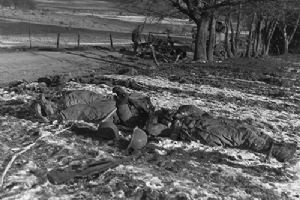 Dead american soldiers from the 25th Cavalry