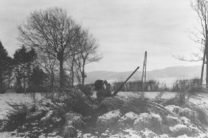 Troops from 7th Armoured Division