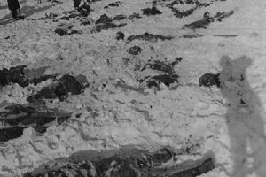 Attrocities committed by German troops in the vicinity of Five Points