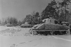 Browse 7th Armoured Division Shermans