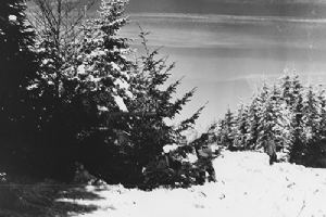 US Army soldiers and tanks hidding in a snow-covered forest
