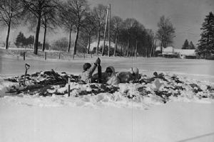 Mortar crew of the 48th Infantry Battalion