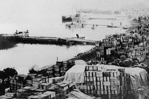 Browse The Gallipoli Campaign 1915